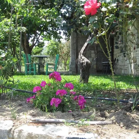 τhanassis House * Sykia Chalkidikis