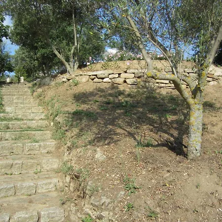 τhanassis House * Sykia Chalkidikis
