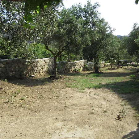 τhanassis House Apartment *